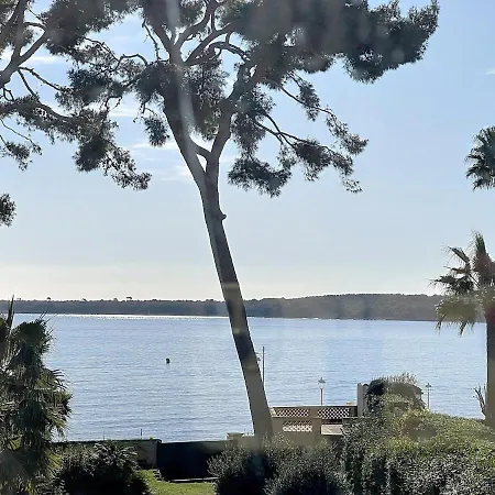 Villa Mare Luxury Location Palm Cannes